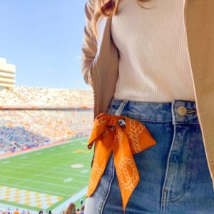 Texas Longhorns Twilly Scarf